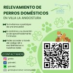 Relevamiento de perros en Villa La Angostura